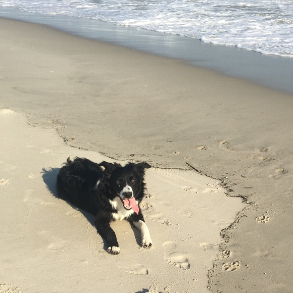 Meet your Posher, Martharose - Picture 1 of 1